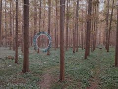 -东平国家森林公园