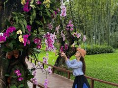 -云溪植物园