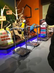 -未来动物城动物主题公园(大悦城店)