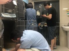 -申普宠物医院·心脏介入·心血管微创(总院)