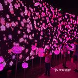 夜游北京必打卡——北京国际光影艺术季