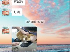 -宠颐生嘉德动物医院