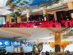 -随州碧桂园凤悦凤凰酒店
