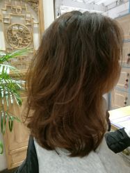 -渼树MSUTREE连锁沙龙