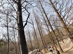 -白水寺森林公园