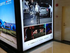 -AMG海上明珠影城(上海环球港RealDCinema店)