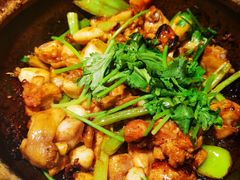 沙姜嗜鸡-煲煲好(朝阳门店)