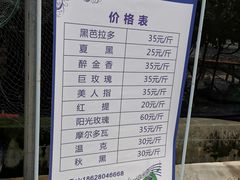 -金谷域澳洲庄园