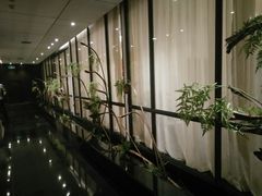 -徐记海鲜(阿波罗店)