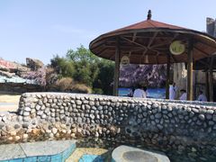 -金孔雀温泉旅游度假村