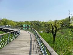 -西湖风景区-江洋畈生态公园
