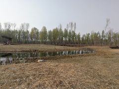 -东郊湿地公园