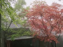 -莫干山风景区