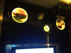 iphone_upload_pic-998KTV(民治民乐店)
