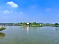 -西青郊野公园