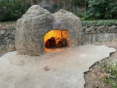 -上海野生动物园