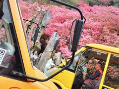 -木兰云雾山