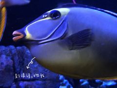 -成都浩海立方海洋公园