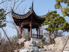 -上海滨江森林公园