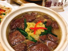 -金汇酒楼(中山东区店)