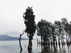 -大理洱海