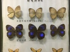 -蝴蝶泉公园