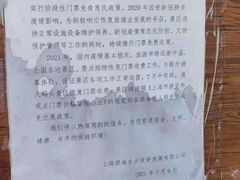 -奉贤海滩
