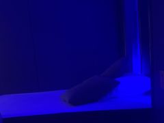 -魔指传奇足疗保健SPA(牛市口店)