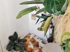 -隹木咖啡馆(宝龙广场店)