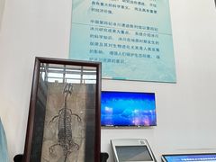 -中国第四纪冰川遗迹陈列馆
