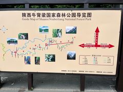 -牛背梁国家森林公园