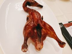 -利苑酒家(合景国际金融广场店)