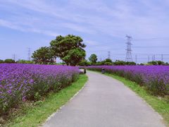 -上海杨姆庄园