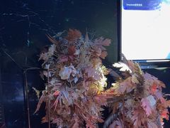 -黑桃K生日订制KTV