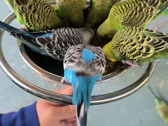 -朝阳公园游乐园