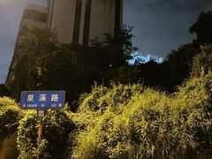 -长虫山生态公园风景林