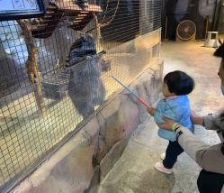 -酷嗒动物文化乐园(cutezoo西溪乐天城店)