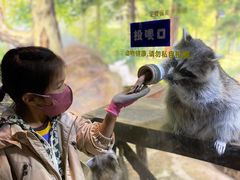 -大连圣亚海洋世界