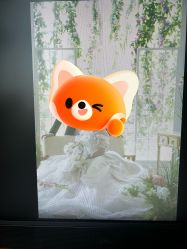 -金夫人婚纱摄影(总店)