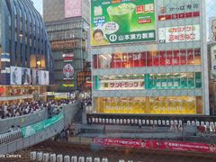 -蟹道乐(道顿堀本店)