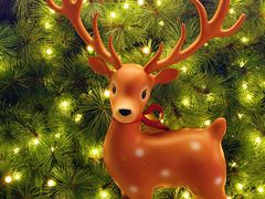 -深圳湾万象城(南山店)