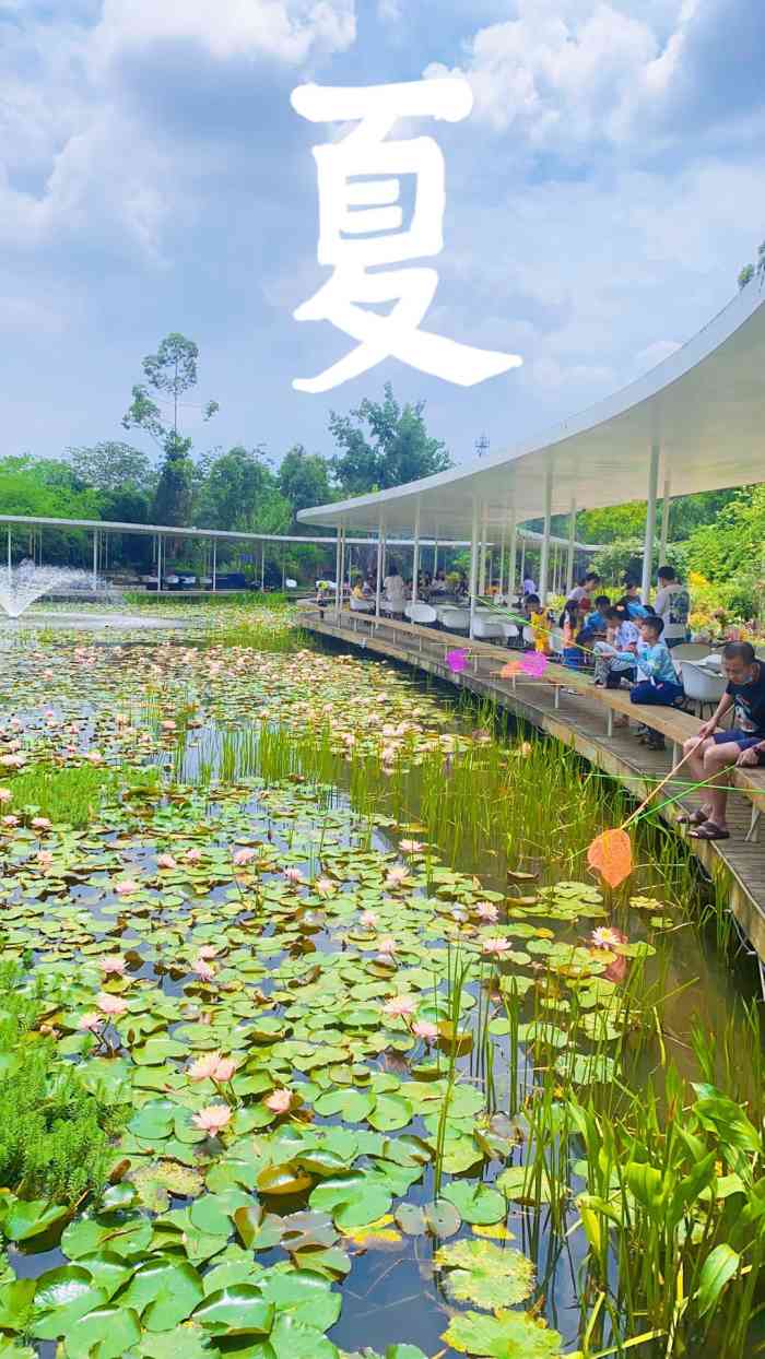 百花深处-"99地址:在三圣乡,我们是公司团建预定的.