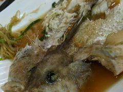 清蒸石斑鱼-金龙酒家