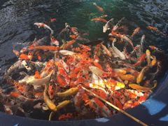 -石家庄极地海洋世界