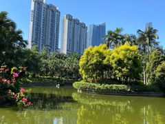 -广州珠江公园