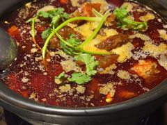 -茯菟菟fu tu tu耙牛肉(龙湖源著店)