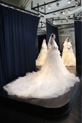 点击看大图 -MuseMarry婚纱(前海嘉里中心店)