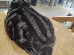 -藏猫猫咖啡主题馆(中央大道店)