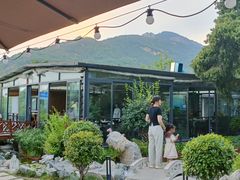 -蘇河湾·新鲁菜·泰山宴(泰山店)