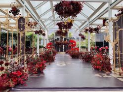 -重庆江北希尔顿逸林酒店·宴会厅